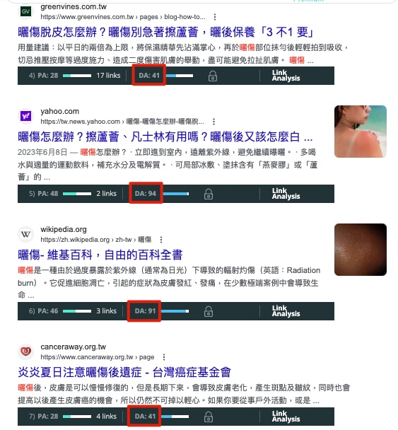 曬傷關鍵字SERP網站DA分數_2