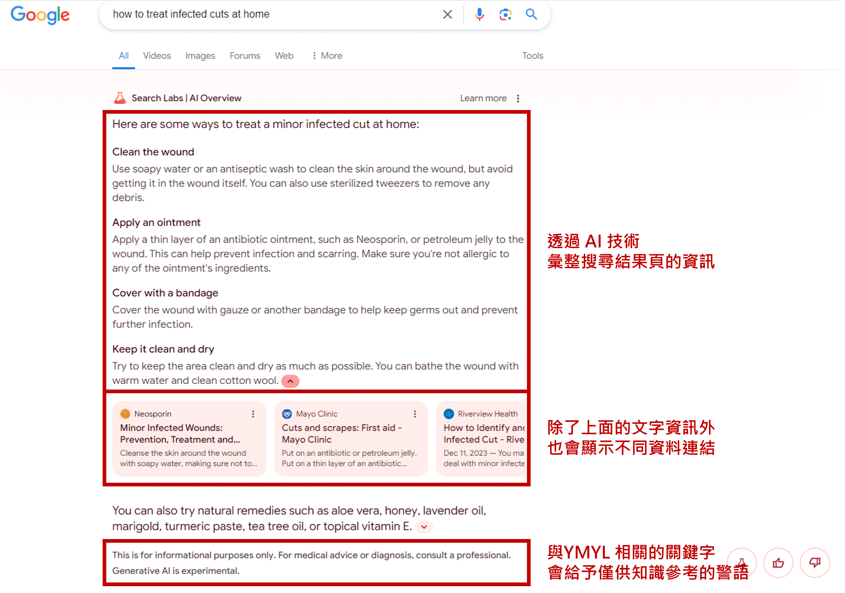 AI Overview 外觀簡介